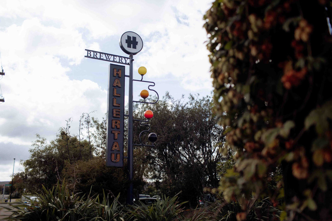 Hallertau, Riverhead