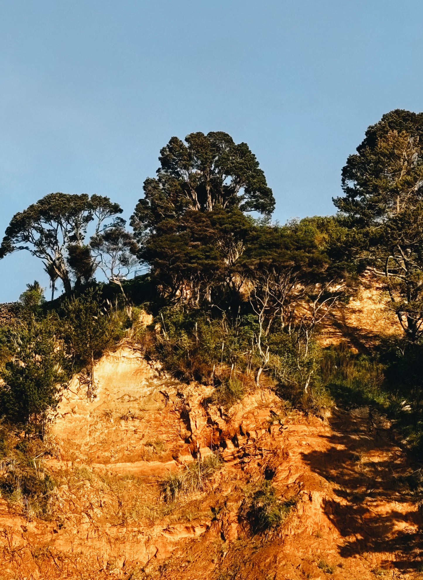 Muriwai light tumbler