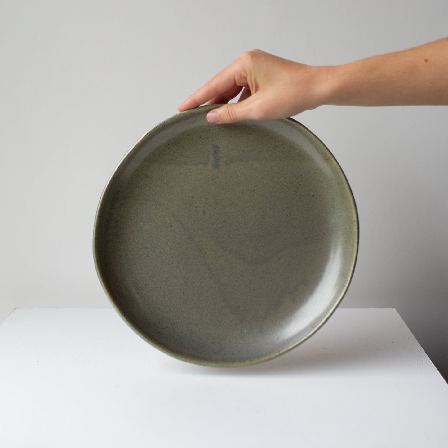 Everyday Large Plate