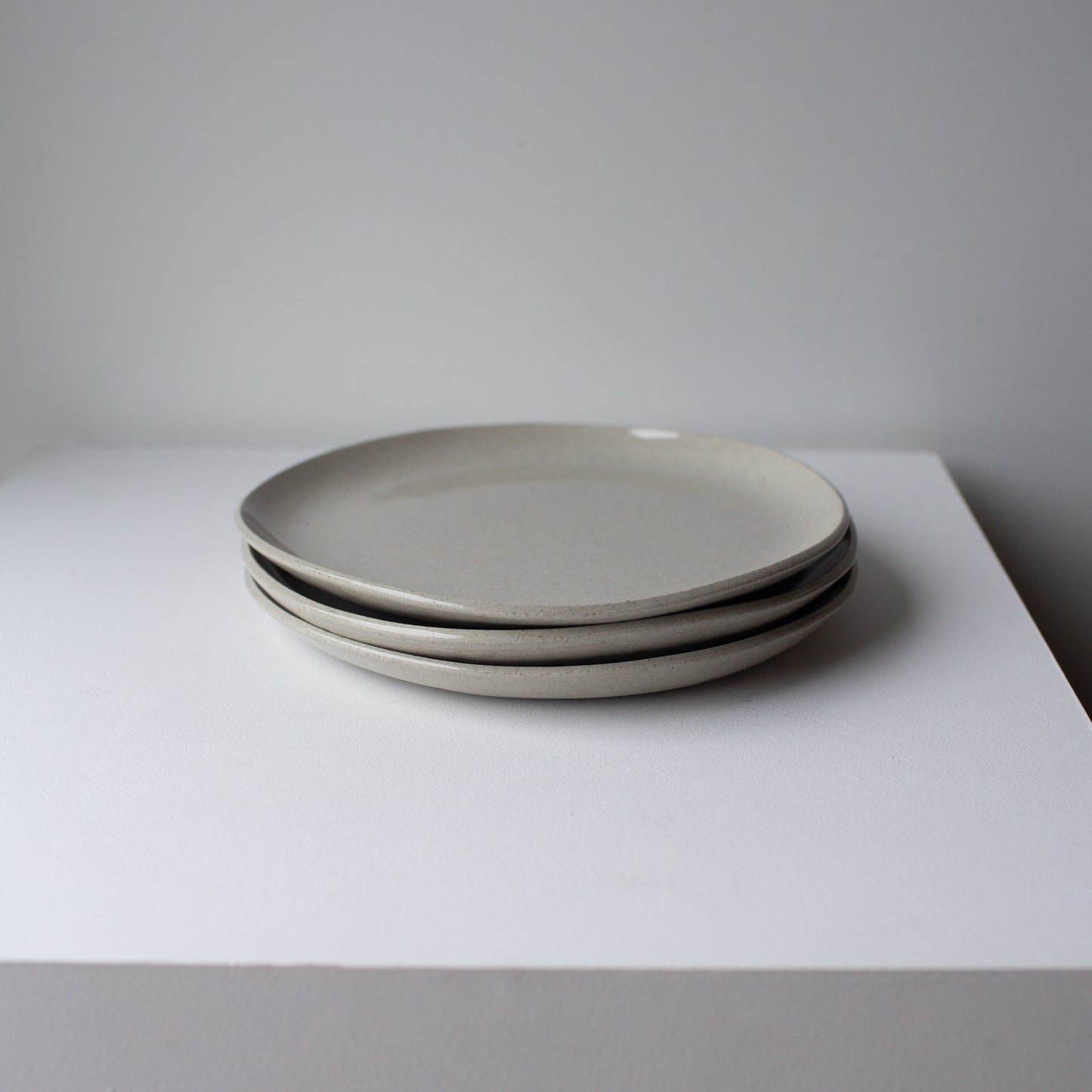 Everyday Large Plate