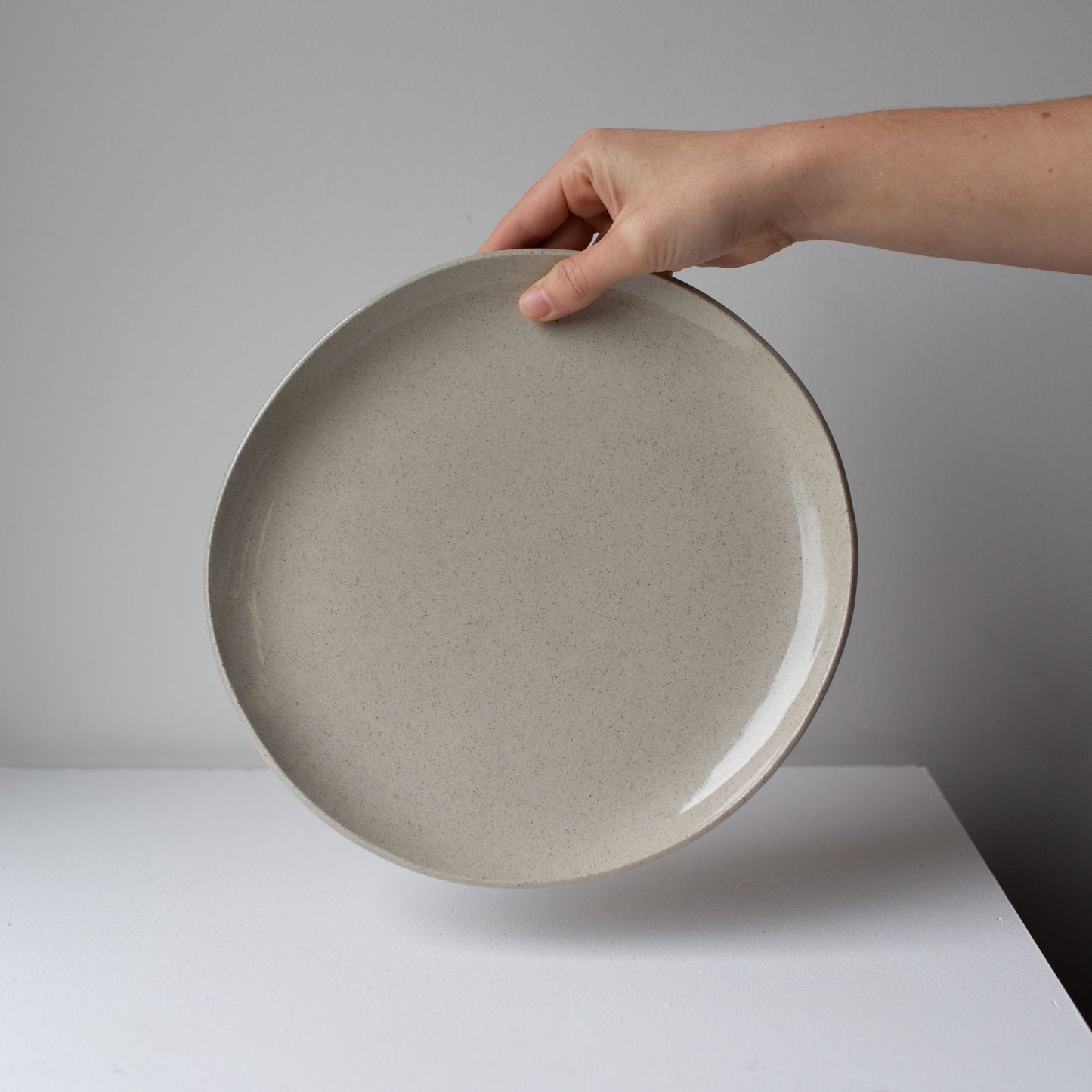 Everyday Large Plate