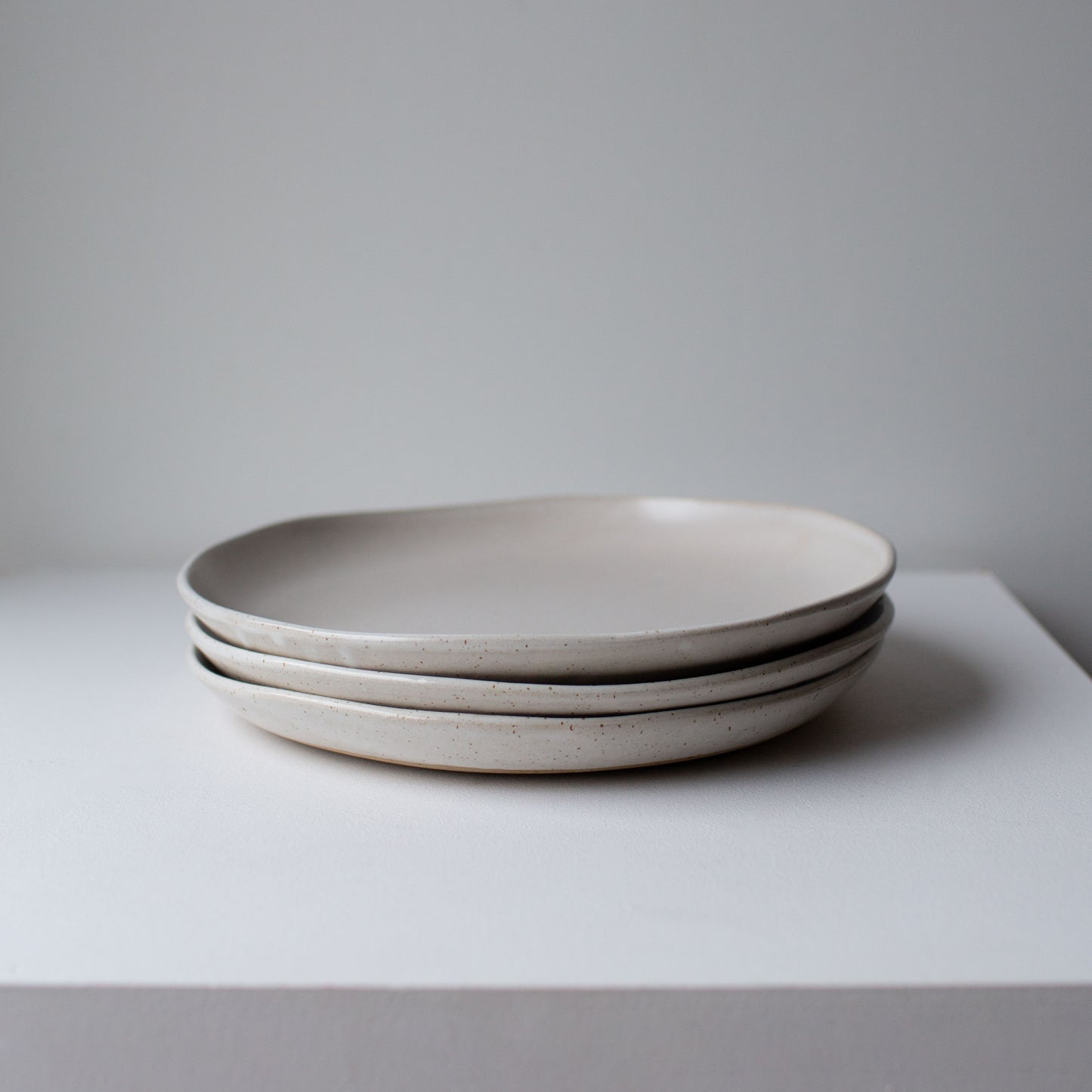 Everyday Large Plate