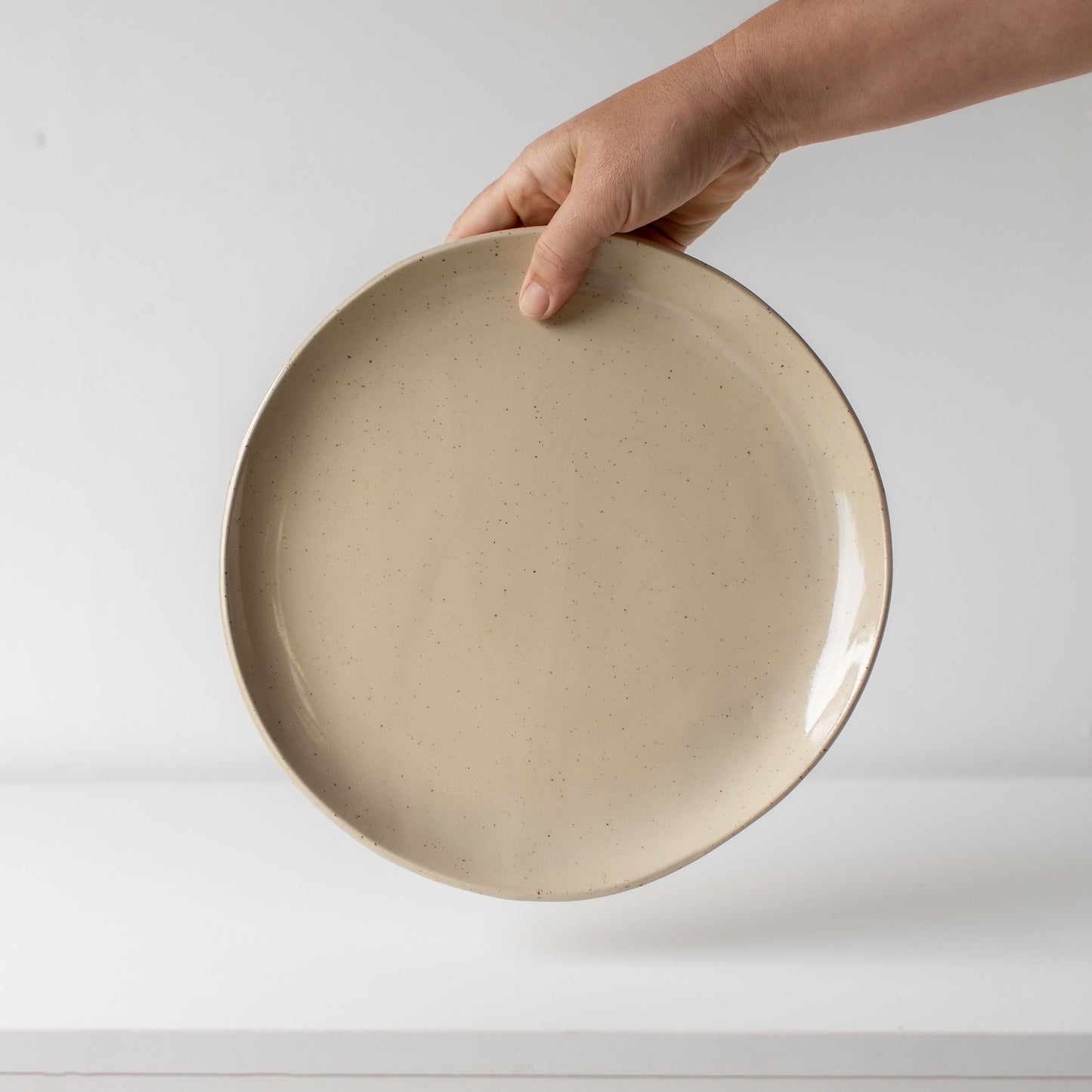 Everyday Large Plate