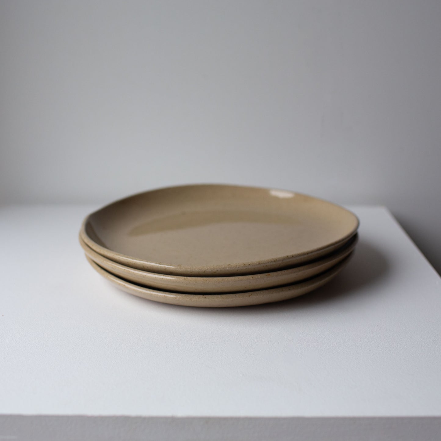 Everyday Large Plate