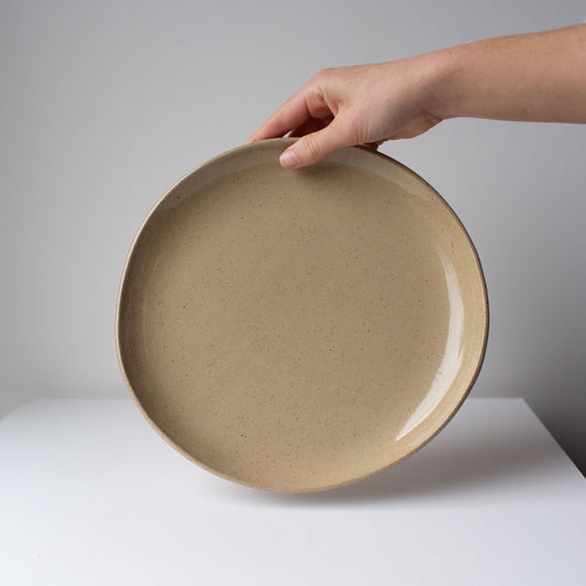 Everyday Large Plate