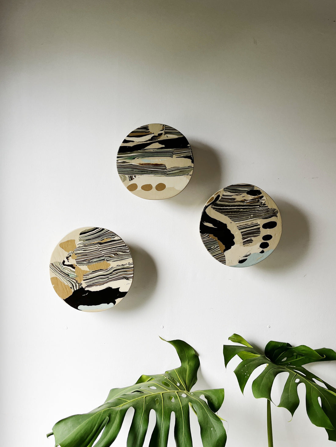 Up the Cliff Wall Planter Collection