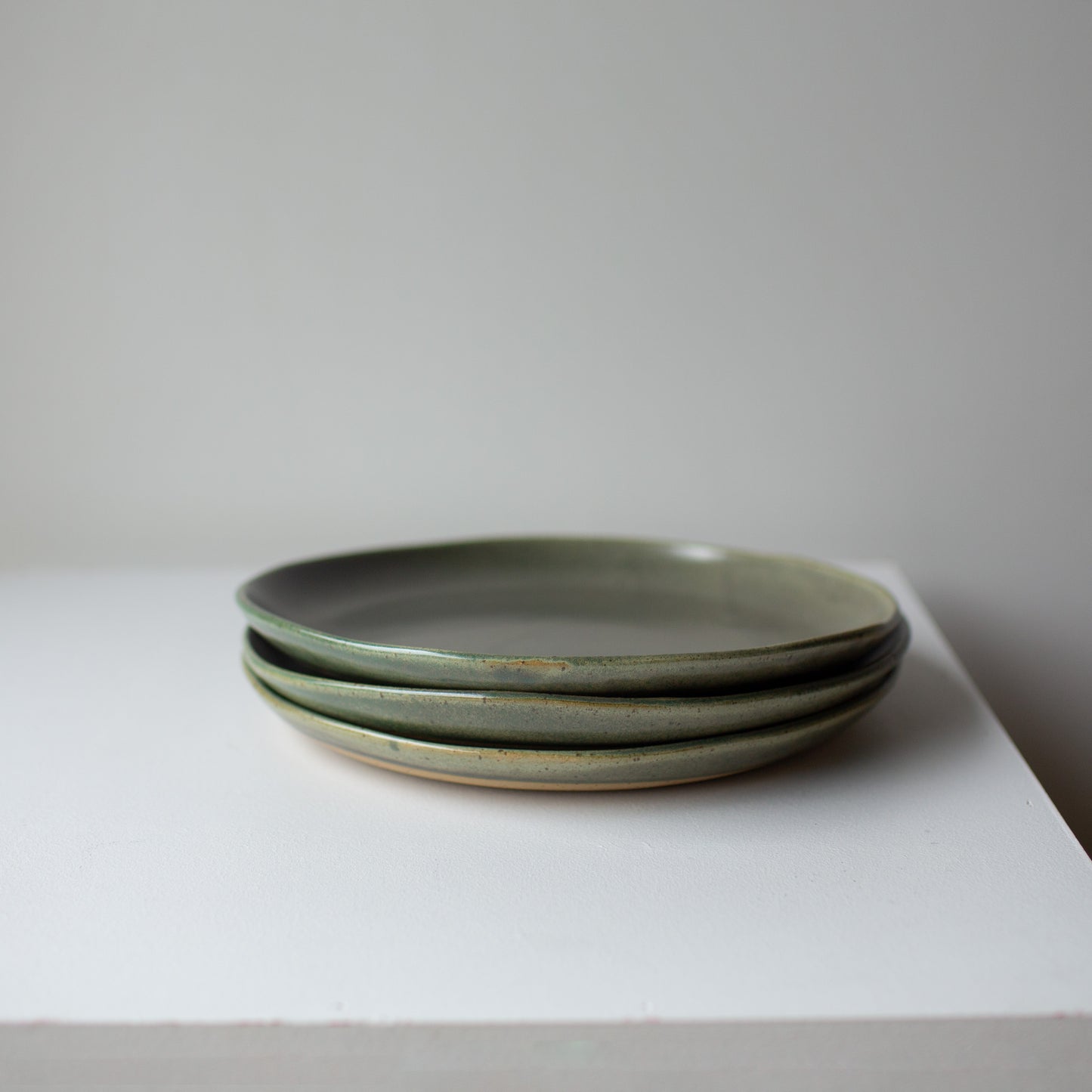 Everyday Large Plate